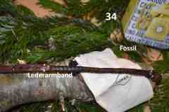 Astl_34