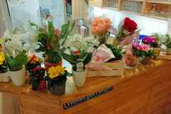 20250214_Blumenladen_02_LoRes