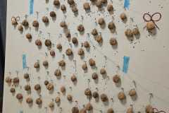 20251211_Weihnachtsschiessen_03